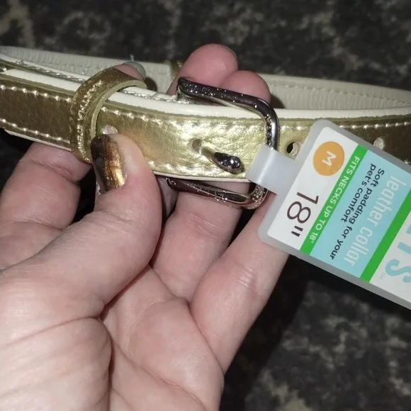 Flower Martha Stewart Cat Collars Martha Stewart Pets Gold Collar